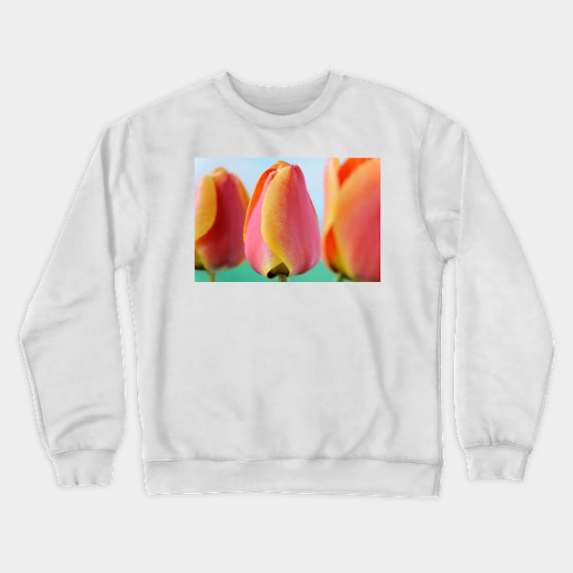 Tulipa  &#39;Apeldoorn&#39;s Elite&#39;   Darwin Hybrid Group  Tulip Crewneck Sweatshirt by chrisburrows